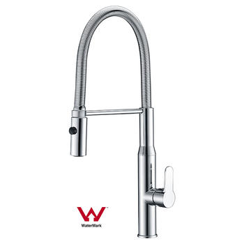 Watermark Approved Pull-out Kitchen Faucet with ABS Spout