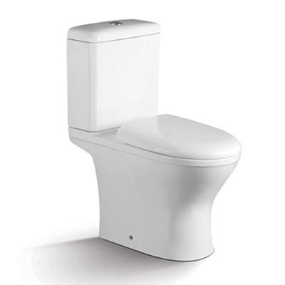 Washdown Two-piece Porcelain Toilet Seat 1201A